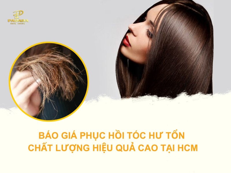 Báo Giá Chăm Sóc Phục Hồi Tóc Tại HCM Chất Lượng Hiệu Quả Cao