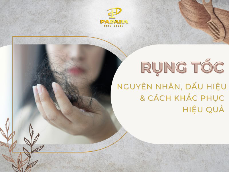 Tìm hiểu về tình trạng rụng tóc: nguyên nhân, dấu hiệu, cách giảm rụng & phục hồi