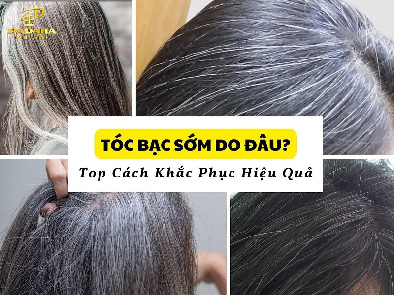 tóc bạc sớm do đâu